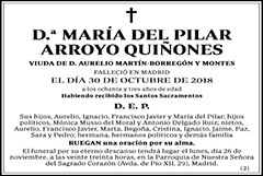 María del Pilar Arroyo Quiñones